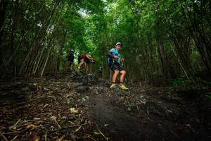 BIB: 
                            <button type="button" onclick="openModal(25101681)" class="btn btn-primary btn-sm float-right btn-popup" data-toggle="modal" data-target=".modal-high-quality">
                        <i class="fas fa-shopping-cart"></i> Add to Cart
                    </button>
                                            <button type="button" onclick="isThisMe(25101681, true)" class="btn btn-success btn-sm float-right btn-popup btn-isme hidden" data-toggle="tooltip" data-placement="bottom" title="นี่คือรูปของคุณใช่ไหม คลิกที่นี่เพื่อเอาเข้าอัลบั้ม">
                        <i class="fas fa-plus"></i> Add to album
                    </button>
                    <button type="button" onclick="isThisMe(25101681, false)" class="btn btn-warning btn-sm float-right btn-popup btn-isnotme hidden">
                        <i class="fas fa-ban"></i> Remove from album
                    </button>